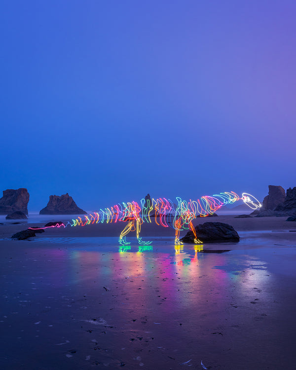 Amargasaurus Beach Print