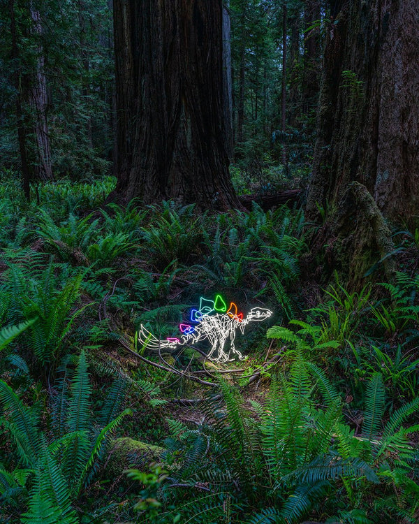 Baby Stego Print