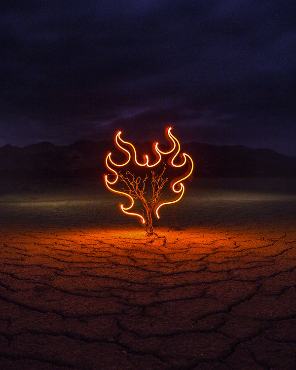 Burning Bush Print
