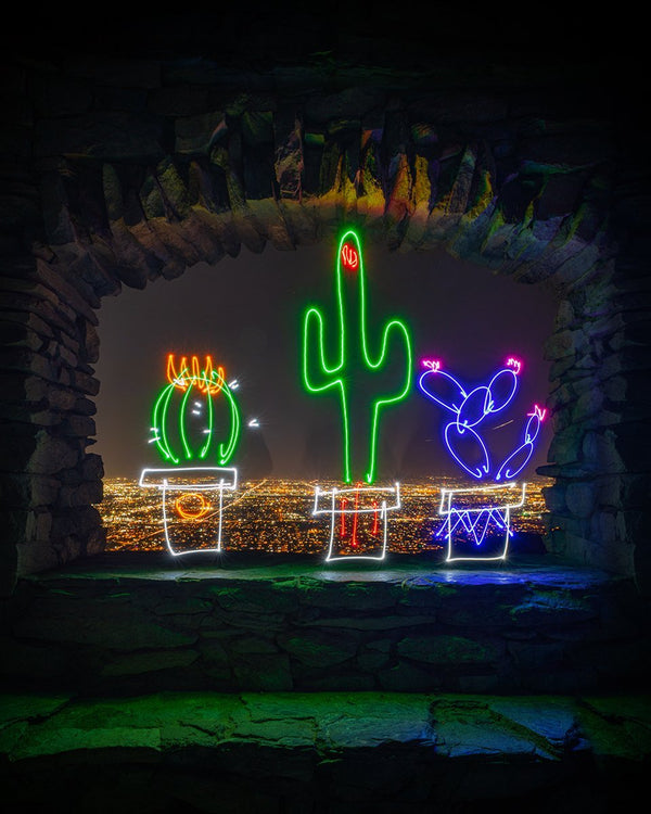 Cactus Family Print
