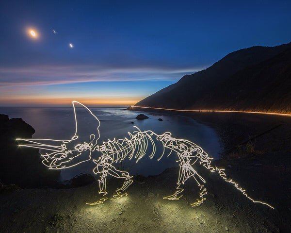 Coastal Triceratops Print