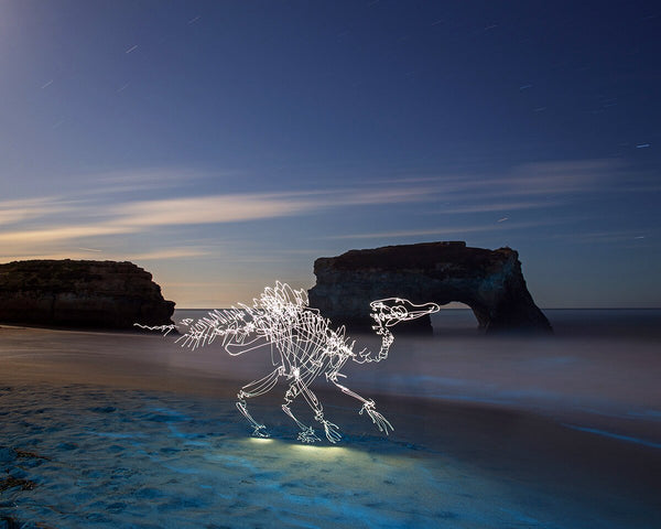 Corythosaurus at Natural Bridges Print
