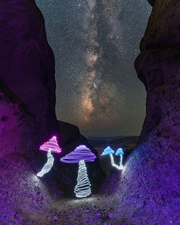 Cosmic Fungi Print