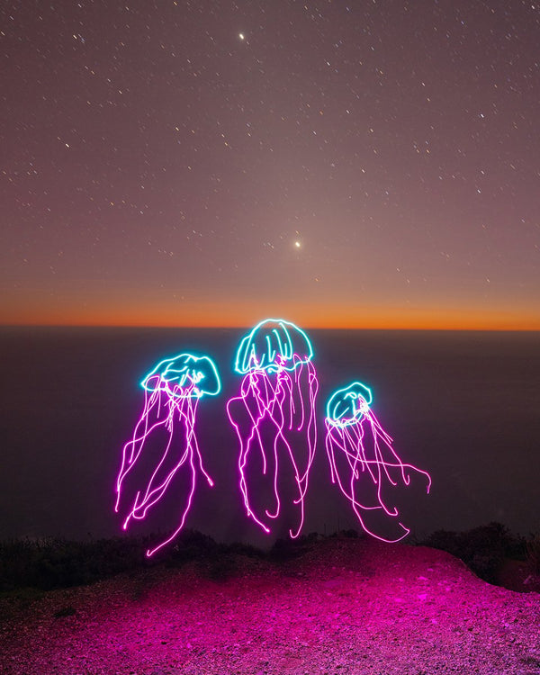 Cosmic Jellyfish Print
