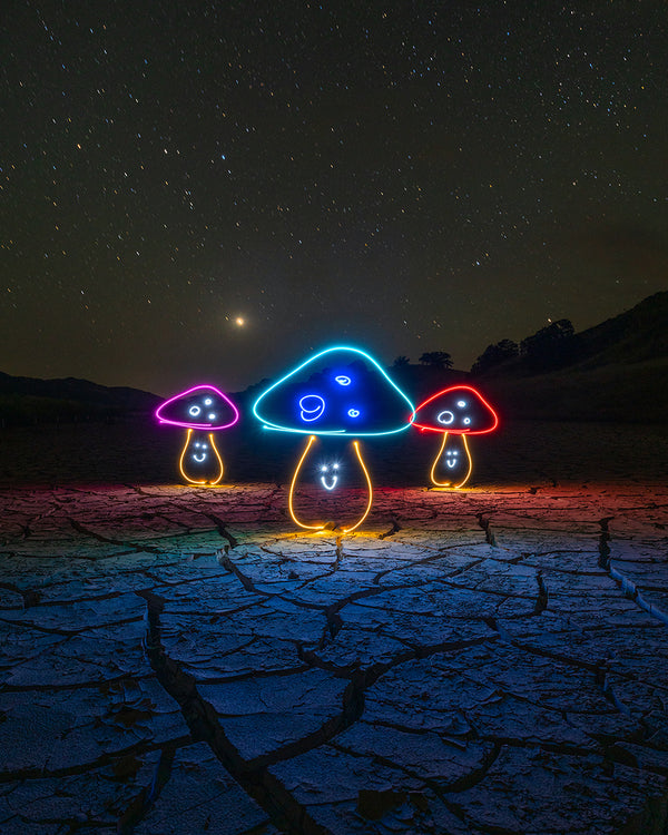 Cracked Earth Mushrooms