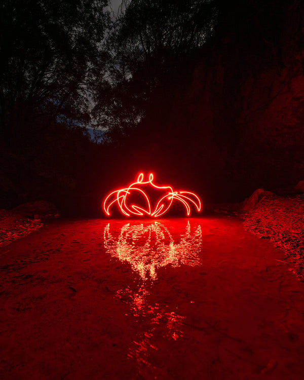 Creek Crab Print