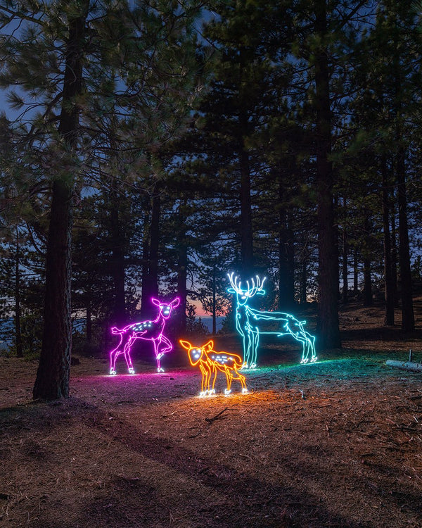 Deer Family Print