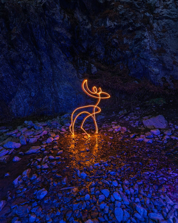 Deer Print
