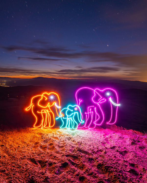 Elephant Family Print