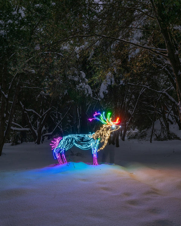 Elk Print