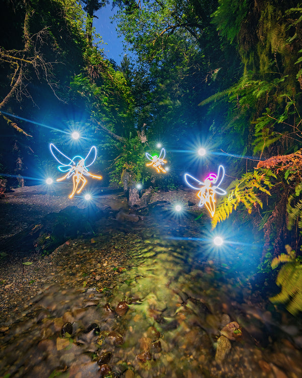 Fairies Print