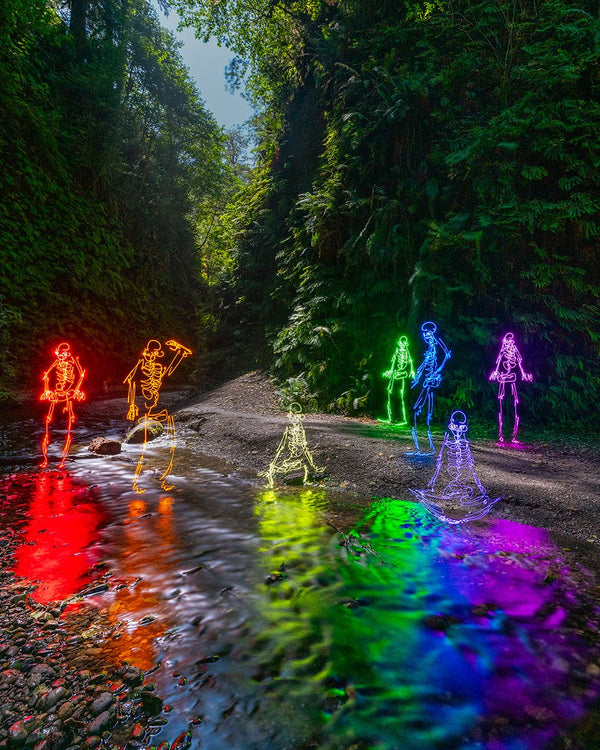 Fern Canyon Skeletons Print