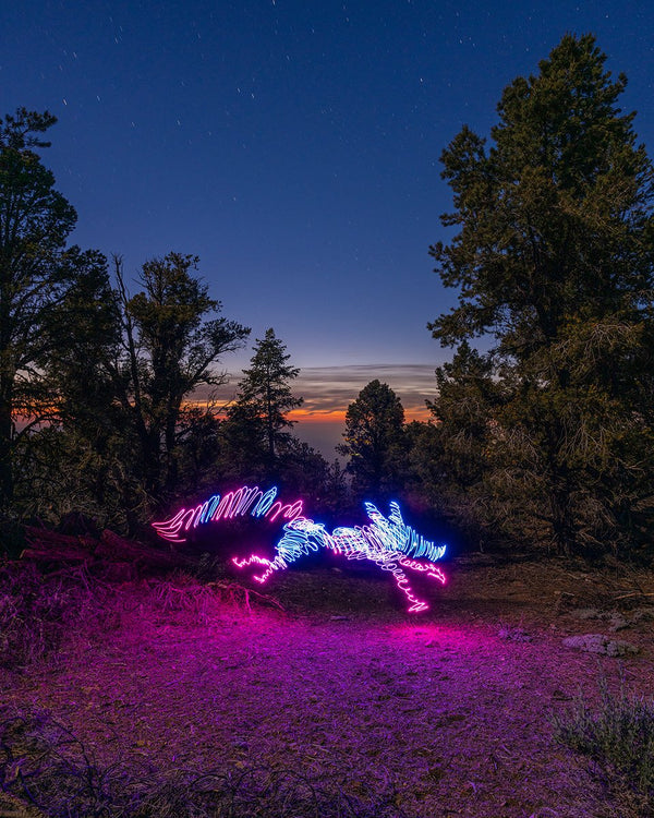 Fox Run Print