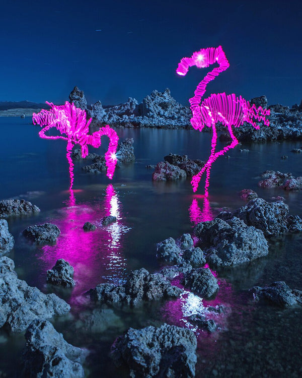 Full Moon Flamingos Print