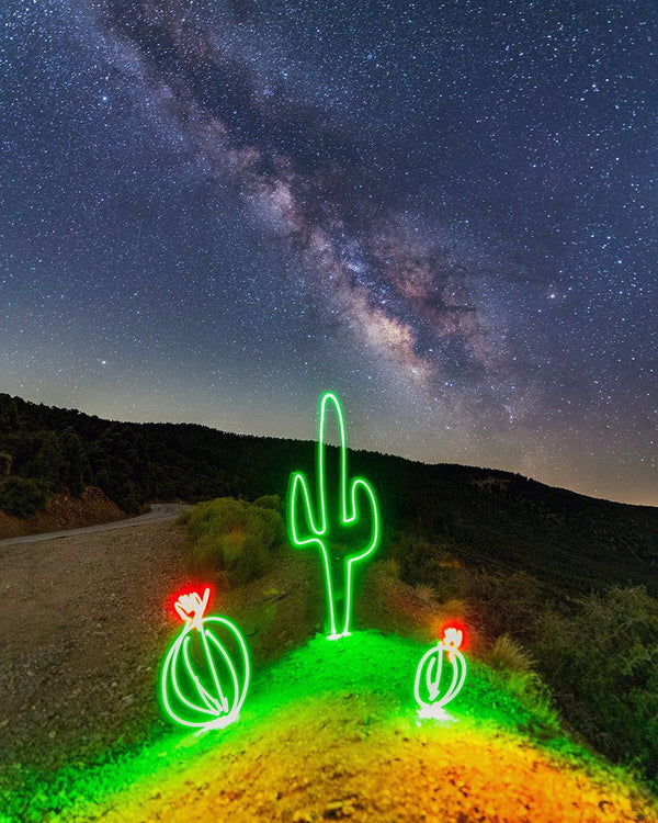 Galactic Cacti Print