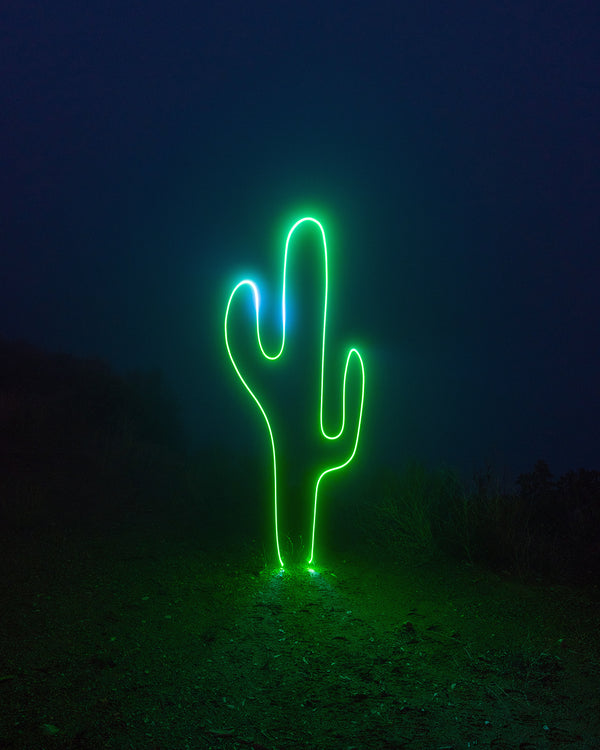 Glass Cactus Print