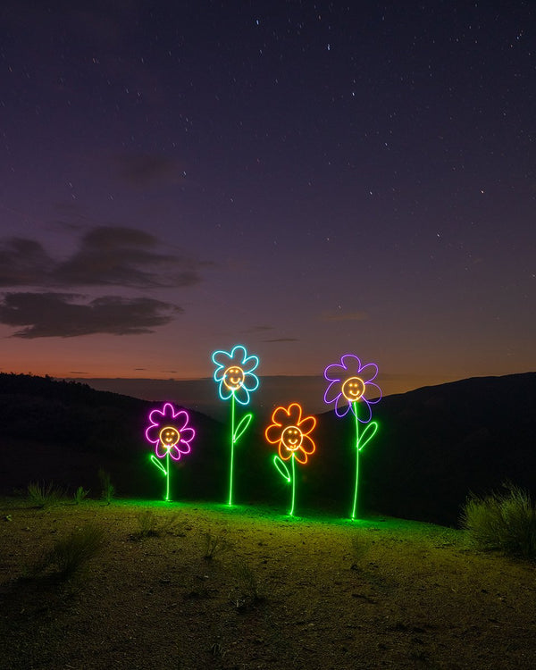Happy Flowers Print