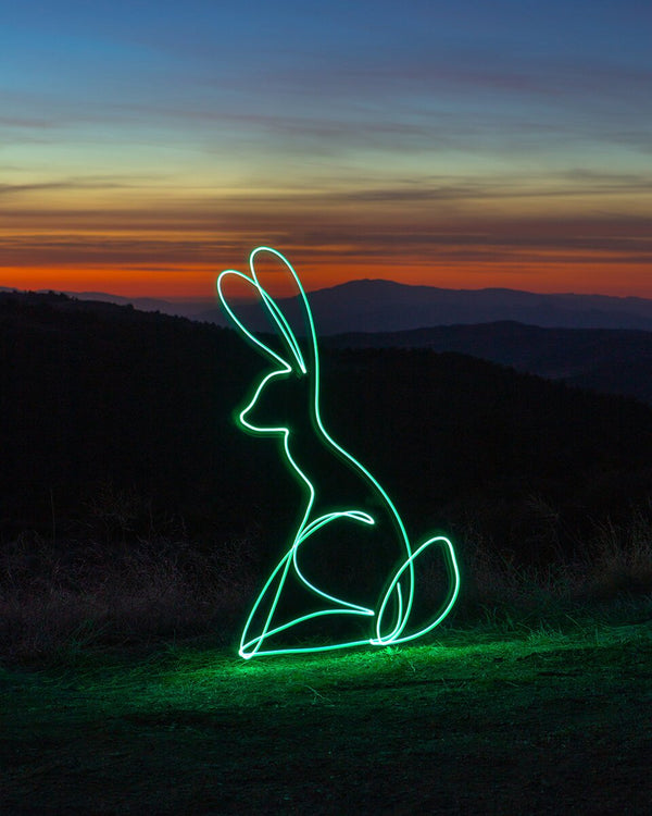Honey Bunny Print