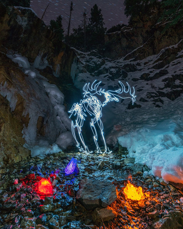 Irish Elk Print