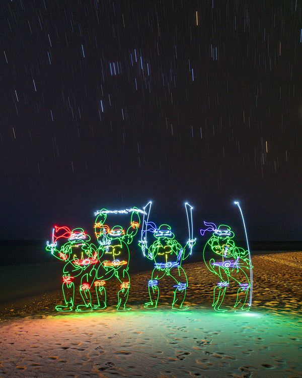 Island TMNT Print