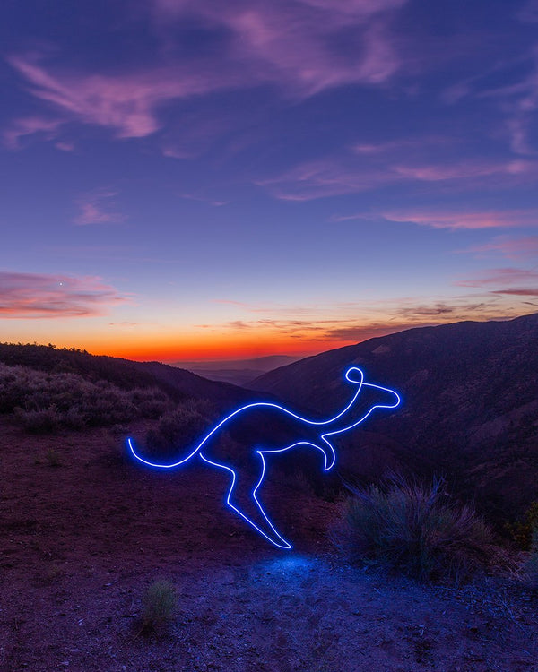 Kangaroo Print