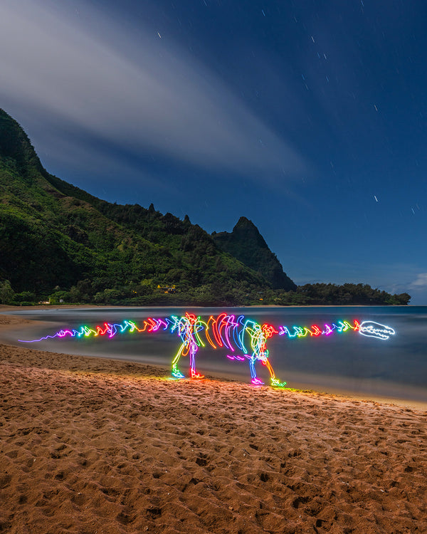 Kauai Dino Print