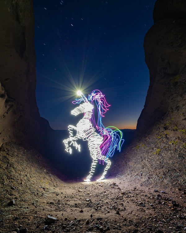 Last Light Unicorn Print