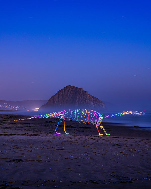 Morro Rock Dino Print