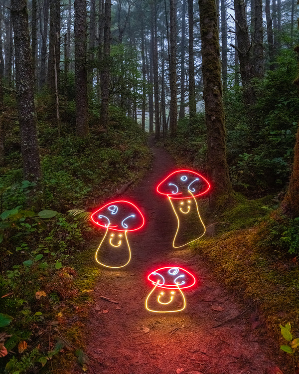 Mushroom Family Print