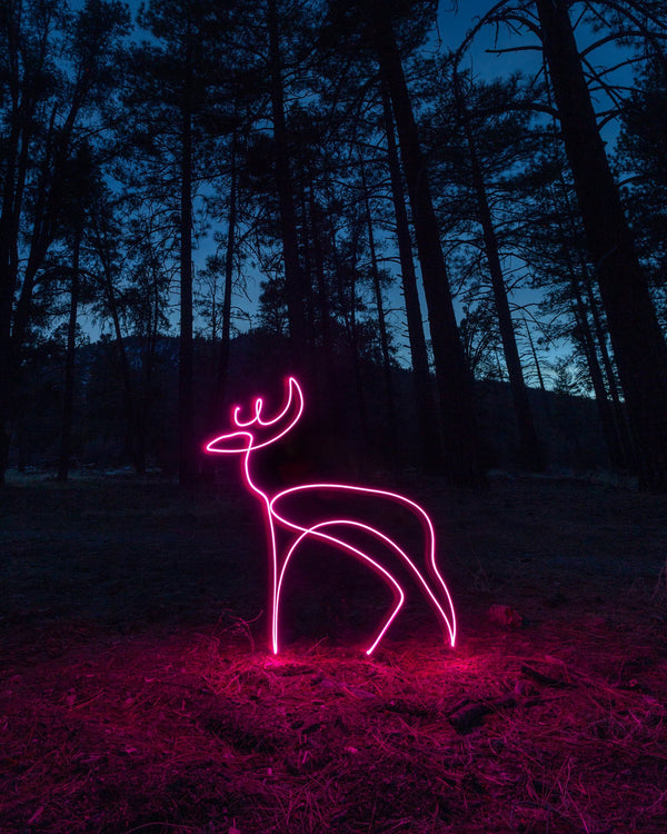Neon Deer Print