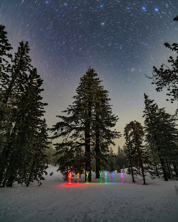 Northstar Skeletons Print