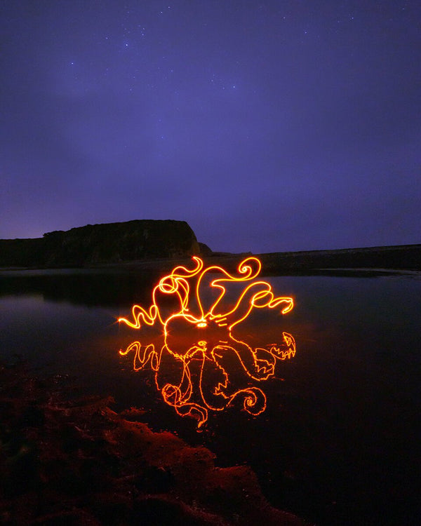 Orange Octopus Print