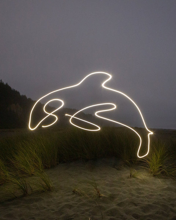 Orca Print