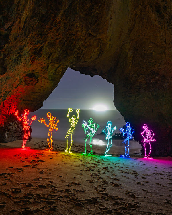 Panther Beach Skeletons Print