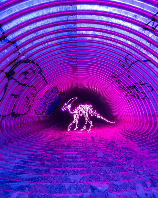 Parasaurolophus Print