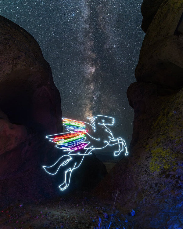 Pegasus Print