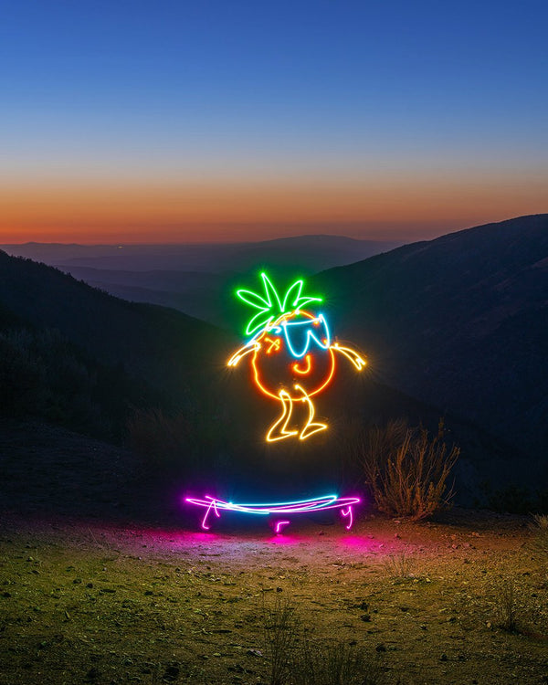 Pineapple Trampoline Print