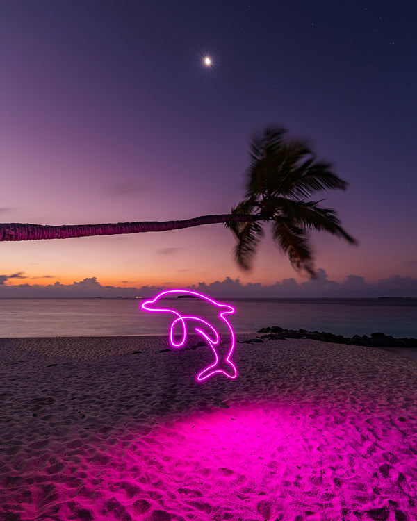 Pink Dolphin Print