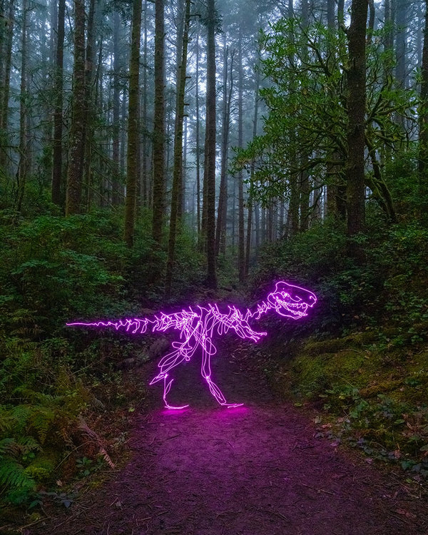 Pink T Rex Print