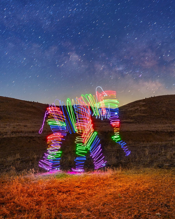 Rainbow Elephant Milky Way Print