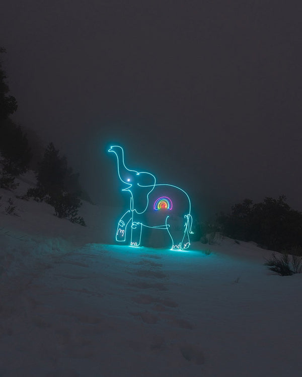Rainbow Elephant Print
