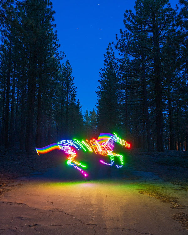 Rainbow Horse Print
