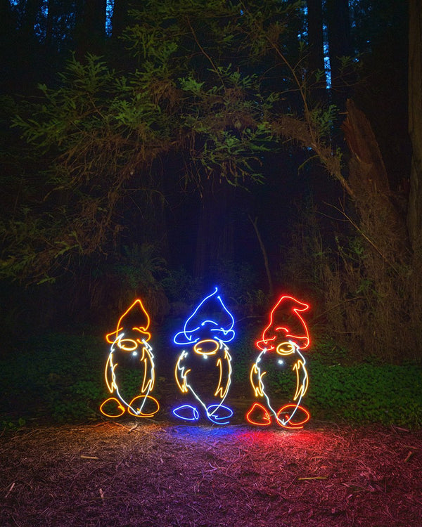 Redwood Gnomes Print