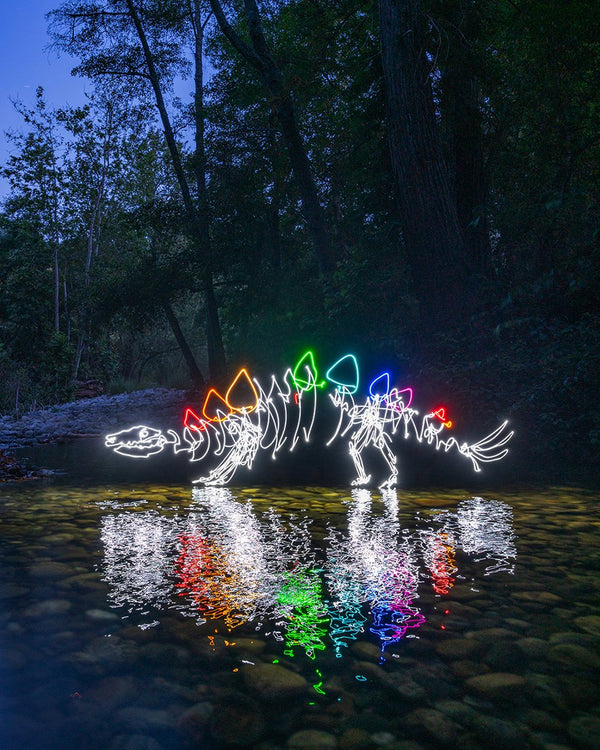 River Stegosaurus Print