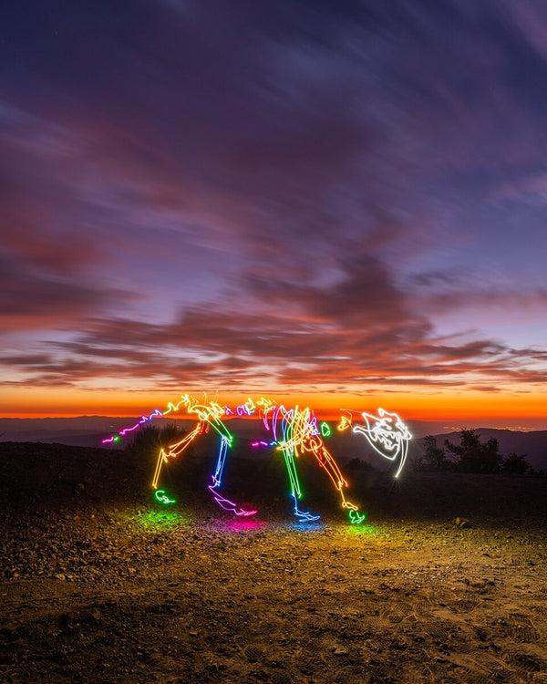 Psychedelic Sabertooth Print