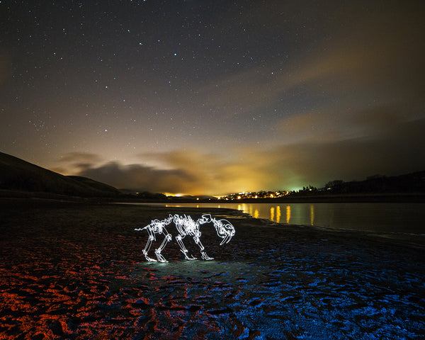 River Sabertooth Print