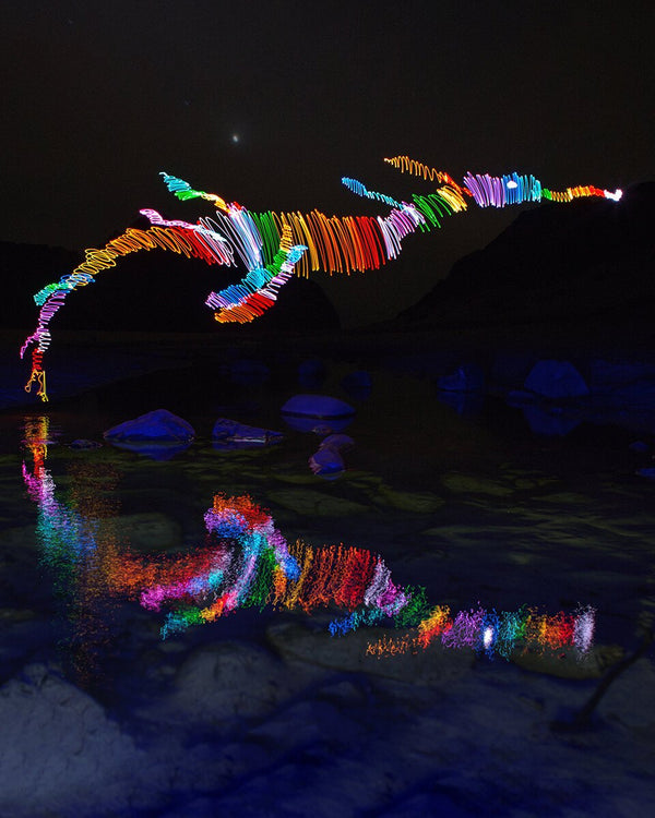 Sea Dragon Print