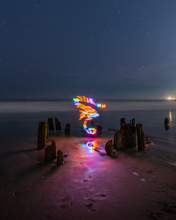 Seaside Seahorse Print