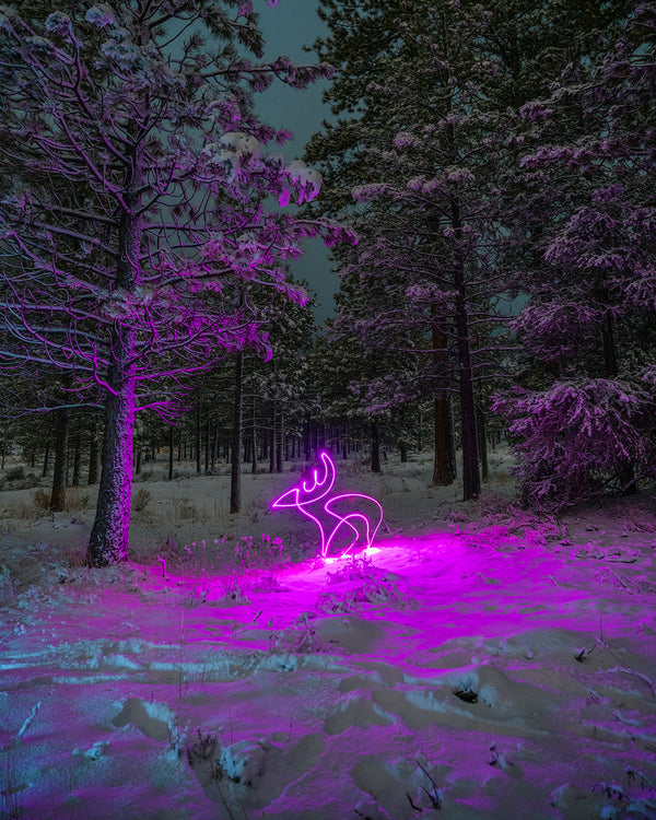 Snow Deer Print