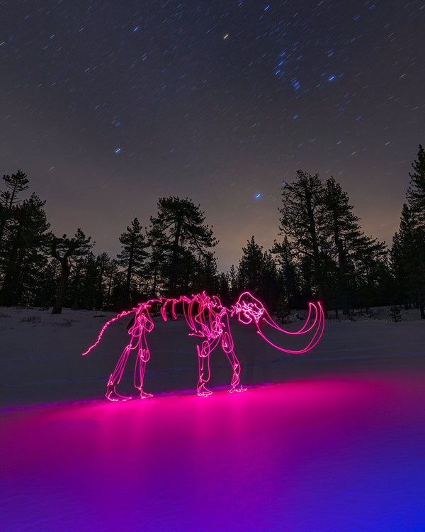 Snowy Mammoth Print